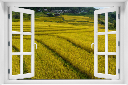 Fototapeta Naklejka Na Ścianę Okno 3D - Golden rice terraces field by harvesting season, at Ban Pa Bong Piang Chiang Mai Province, Northern of Thailand,