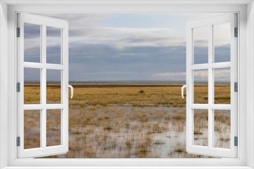 Fototapeta Naklejka Na Ścianę Okno 3D - Landschaft in Afrika