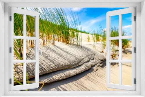 Fototapeta Naklejka Na Ścianę Okno 3D - Plaża, morze, krajobraz, roślinność