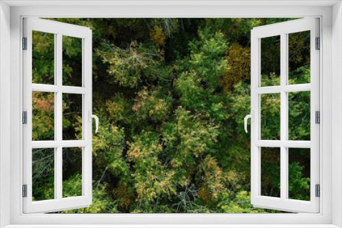 Fototapeta Naklejka Na Ścianę Okno 3D - Wood foliage. Aerial tree tops view. Scenic reserve beauty countryside national parkland colorful tree crowns wild autumn forest drone view.