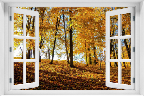 Fototapeta Naklejka Na Ścianę Okno 3D - Autumn season with Beautiful romantic alley in a park with colorful trees and sunlight. autumn natural background