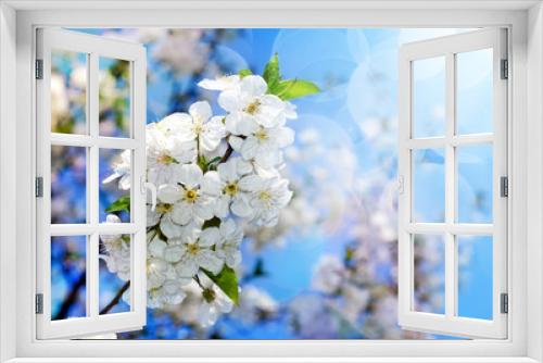 Fototapeta Naklejka Na Ścianę Okno 3D - Spring blossom background