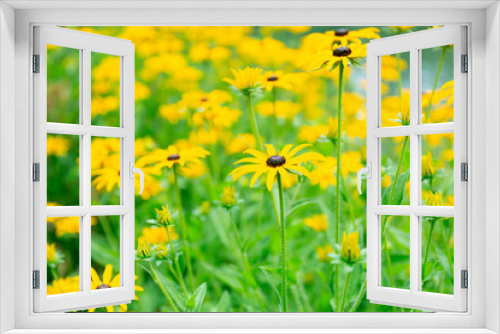 Fototapeta Naklejka Na Ścianę Okno 3D - Yellow Flowers Field Soft Background