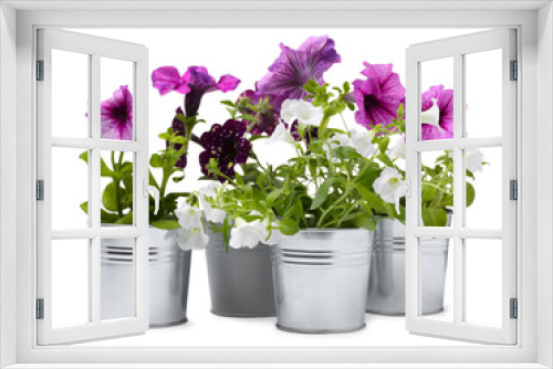 Fototapeta Naklejka Na Ścianę Okno 3D - Beautiful flowers in metal pots isolated on white