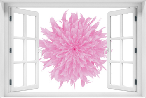 Fototapeta Naklejka Na Ścianę Okno 3D - Flower Petal Vector Design With Transparent Background