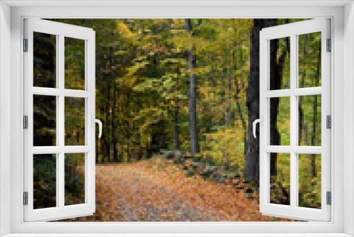 Fototapeta Naklejka Na Ścianę Okno 3D - Autumnal Country Road