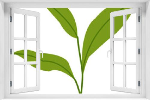 Fototapeta Naklejka Na Ścianę Okno 3D - Green Tea Icon