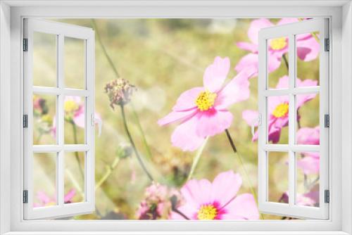 Fototapeta Naklejka Na Ścianę Okno 3D - Beautiful flowers field