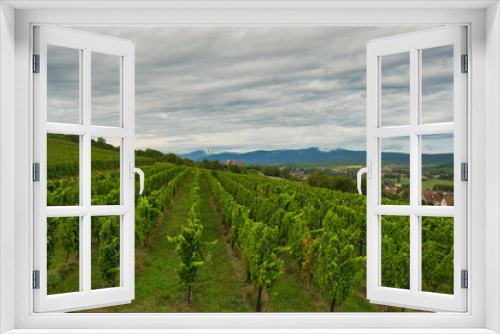 Fototapeta Naklejka Na Ścianę Okno 3D - Landschaft bei Soult-les-Bains im Elsass