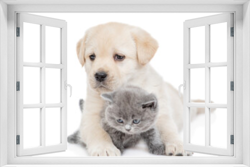 Fototapeta Naklejka Na Ścianę Okno 3D - Friendly Golden Retriever puppy embraces a tiny gray kitten. isolated on white background