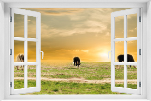 Fototapeta Naklejka Na Ścianę Okno 3D - cow on pasture at sunset
