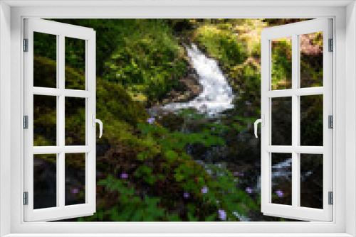 Fototapeta Naklejka Na Ścianę Okno 3D - Wasserfall in Lotenbachklamm in der Wutachschlucht i, Schwarzwald in Baden-Württemberg in Deutschland