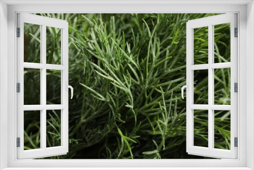 Fototapeta Naklejka Na Ścianę Okno 3D - Fresh green dill as background, closeup view