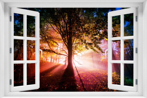 Fototapeta Naklejka Na Ścianę Okno 3D - an autumnal forest and fog
