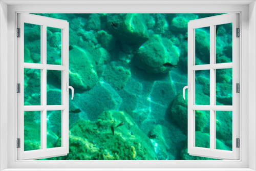 Fototapeta Naklejka Na Ścianę Okno 3D - Vista subacquea di Taormina con pesci 2368
