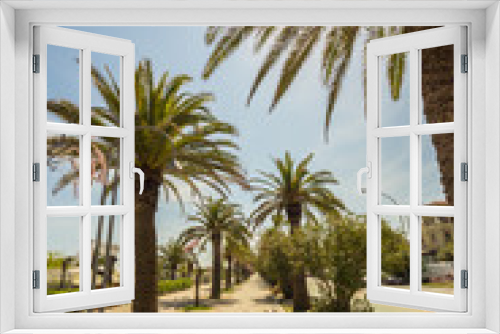 Fototapeta Naklejka Na Ścianę Okno 3D - palms on the path in front of the sea of Italy
