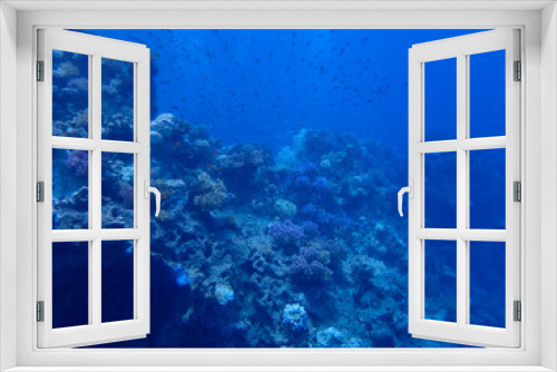Fototapeta Naklejka Na Ścianę Okno 3D - Majestic Underwater Ecosystem Featuring Vibrant Coral Reef and Marine Wildlife