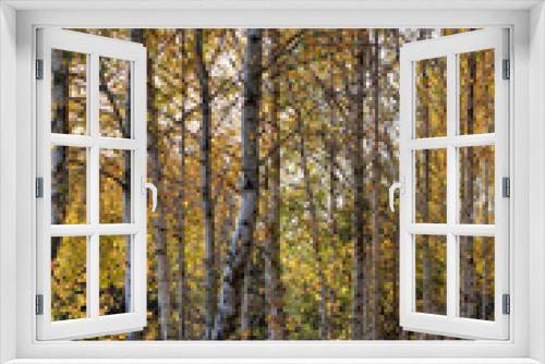 Fototapeta Naklejka Na Ścianę Okno 3D - birches in the autumn forest