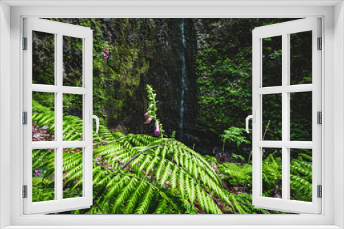 Fototapeta Naklejka Na Ścianę Okno 3D - Atmospheric natural waterfall overgrown with plants and ferns in Madeiran rainforest. Levada of Caldeirão Verde, Madeira Island, Portugal, Europe