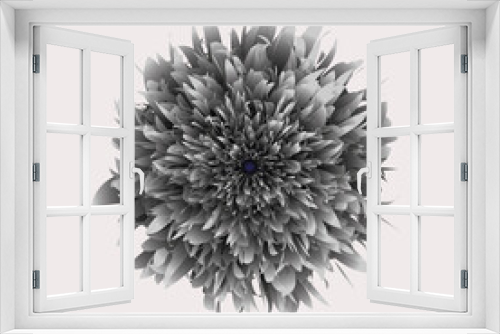 Fototapeta Naklejka Na Ścianę Okno 3D - Floral Black And White Vector Flower