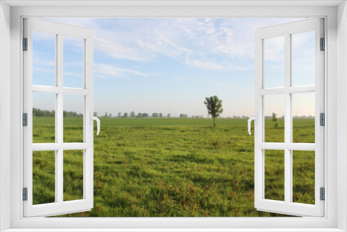 Fototapeta Naklejka Na Ścianę Okno 3D - A panoramic view of a rural landscape in summer