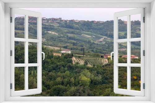 Fototapeta Naklejka Na Ścianę Okno 3D - Groves of hazelnuts in the area of Albaretto della Torre in Piedmont, Italy