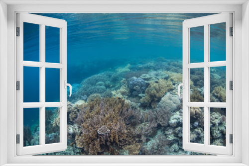 Fototapeta Naklejka Na Ścianę Okno 3D - Tropical Pacific Coral Reef 3
