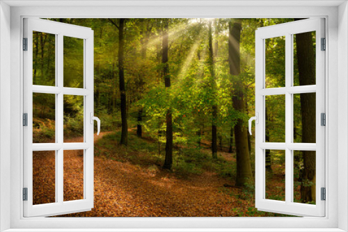 Fototapeta Naklejka Na Ścianę Okno 3D - Gorgeous forest scenery with rays of sunlight falling through lush green foliage, with brown leaves covering the footpath