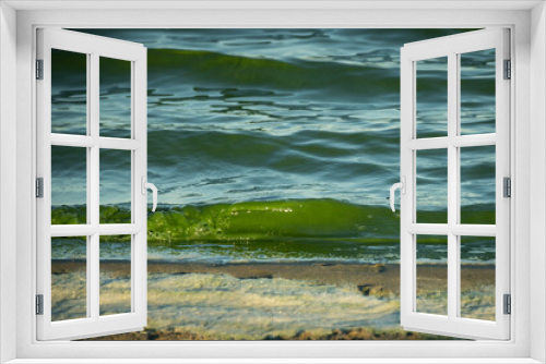 Fototapeta Naklejka Na Ścianę Okno 3D - fresh water at the surfplas manmade lake in Reeuwijkse plassen has turned green from algae bloom in summer. strange coloured waves lap against the shore with foam scum appears toxic and polluted