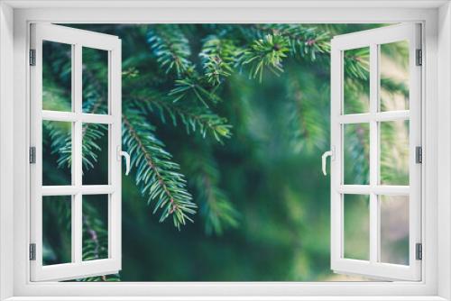 Fototapeta Naklejka Na Ścianę Okno 3D - Christmas tree branches background. Green winter fir wallpaper. New Year design