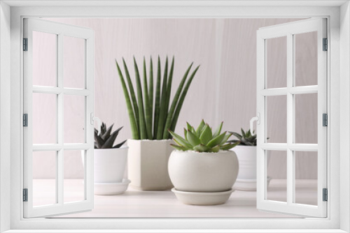 Fototapeta Naklejka Na Ścianę Okno 3D - Beautiful succulent plants in pots on white wooden table