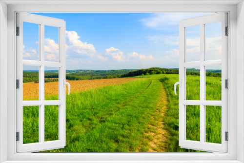 Fototapeta Naklejka Na Ścianę Okno 3D - Countryside road in green field and blue sky, Austria