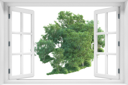 Fototapeta Naklejka Na Ścianę Okno 3D - Realistic forest isolated on transparent background. 3d rendering - illustration