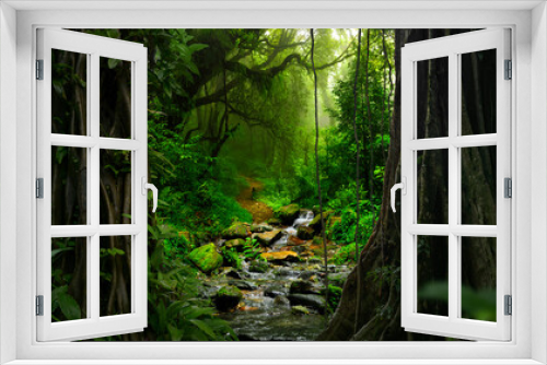 Fototapeta Naklejka Na Ścianę Okno 3D - Deep tropical jungles of Southeast Asia