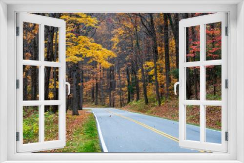 Fototapeta Naklejka Na Ścianę Okno 3D - Fall Foliage Along a Road in Smoky Mountain National Park