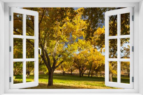 Fototapeta Naklejka Na Ścianę Okno 3D - Autumn garden