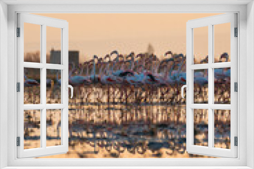 Fototapeta Naklejka Na Ścianę Okno 3D - flamingos at sunset in the lake
