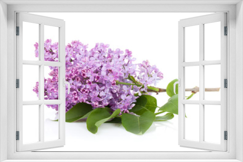 Fototapeta Naklejka Na Ścianę Okno 3D - Lilac branch