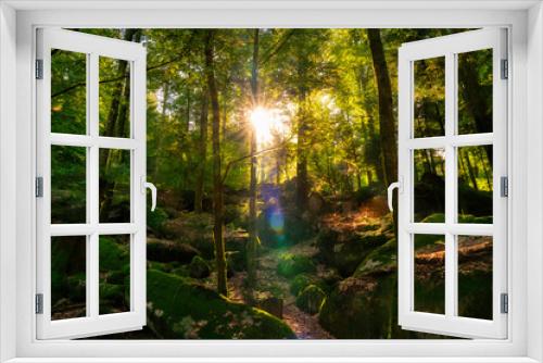 Fototapeta Naklejka Na Ścianę Okno 3D - sunlight in the forest