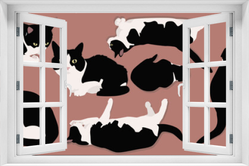 Fototapeta Naklejka Na Ścianę Okno 3D - Black and white cat. Cat in different poses. Vector illustration.