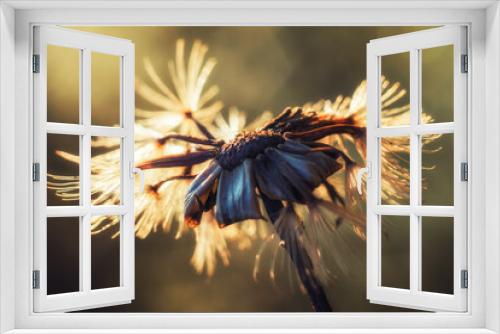 Fototapeta Naklejka Na Ścianę Okno 3D - Ogród 2