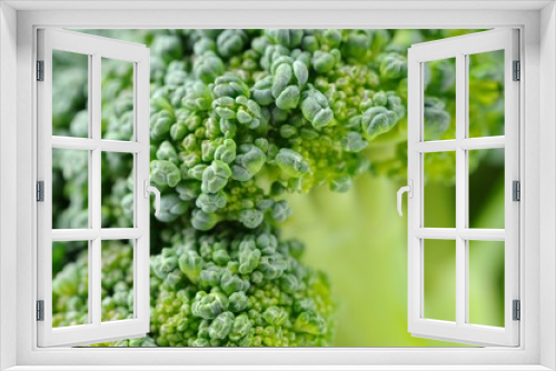 Fototapeta Naklejka Na Ścianę Okno 3D - Green Broccoli Close-Up