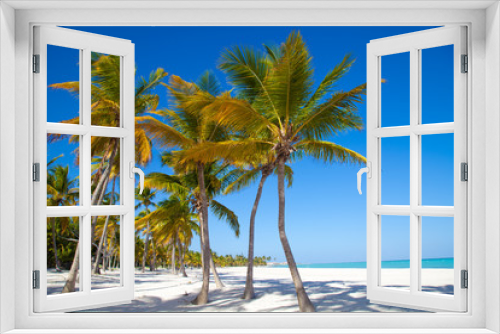 Fototapeta Naklejka Na Ścianę Okno 3D - Caribbean sea and palms