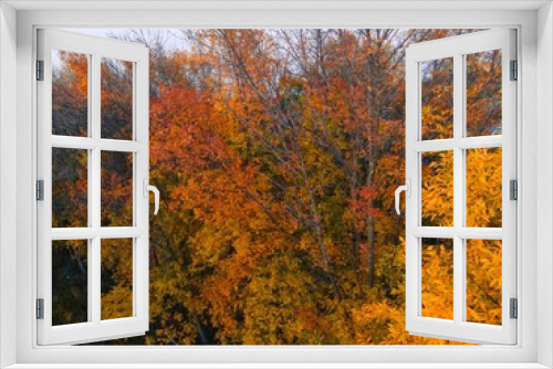 Fototapeta Naklejka Na Ścianę Okno 3D - Autumn Wisconsin in USA