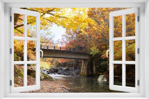 Fototapeta Naklejka Na Ścianę Okno 3D - 紅葉に染まる渓谷（群馬県・照葉峡）