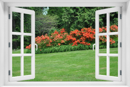 Fototapeta Naklejka Na Ścianę Okno 3D - Ogród