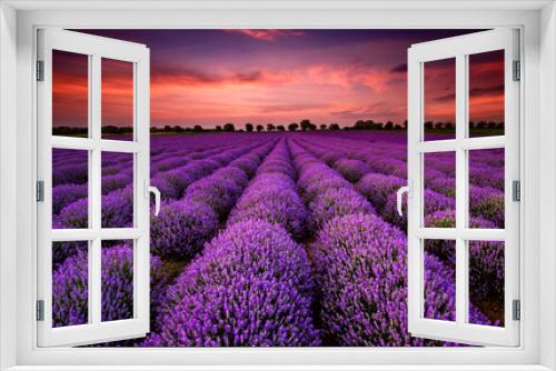 Fototapeta Naklejka Na Ścianę Okno 3D - Stunning landscape with lavender field at sunset