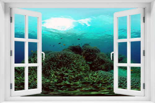 Fototapeta Naklejka Na Ścianę Okno 3D - Underwater world with coral reef and tropical fishes. Travel vacation concept 360 panorama VR