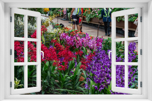 Fototapeta Naklejka Na Ścianę Okno 3D - Flower Dwom, Marina Bay Gardens