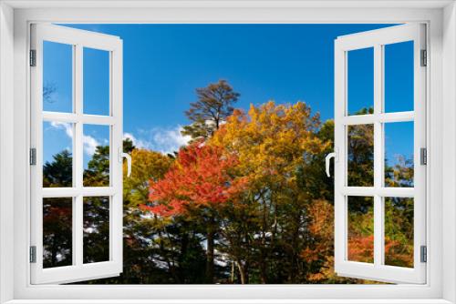 Fototapeta Naklejka Na Ścianę Okno 3D - 高野山の紅葉